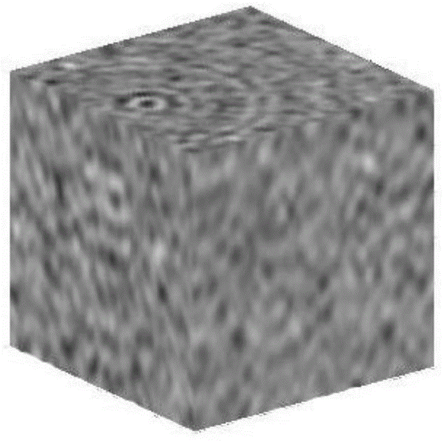 Reconstructed soil computer tomography (CT) picture three-dimensional reconstruction and soil pore searching method