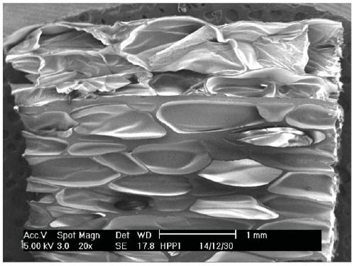 A high-melt strength impact-resistant polypropylene foam board and its preparation method