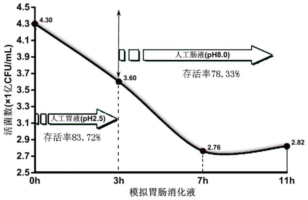 A strain of Lactobacillus rhamnosus m9 isolated from breast milk and its application