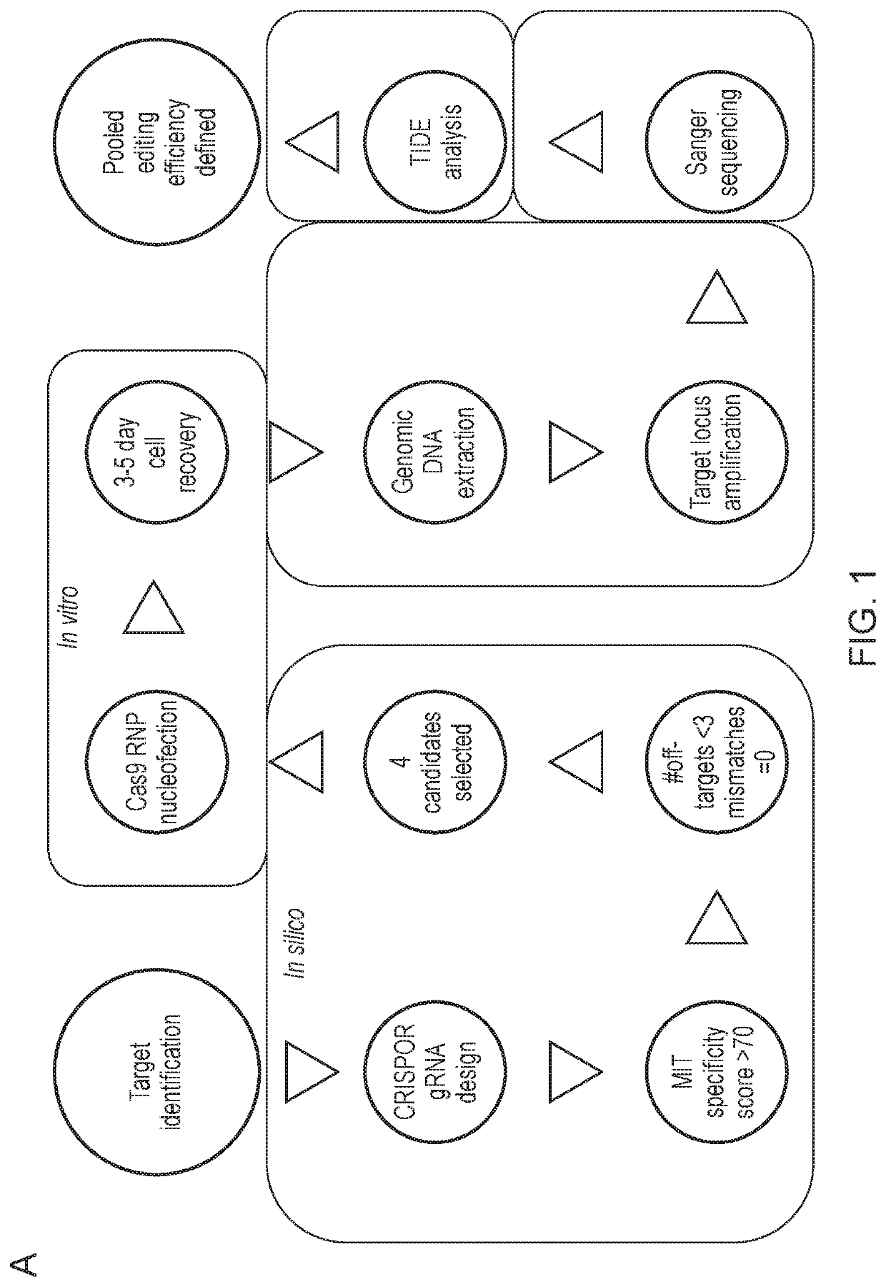 Engineered platelets for targeted delivery of a therapeutic agent