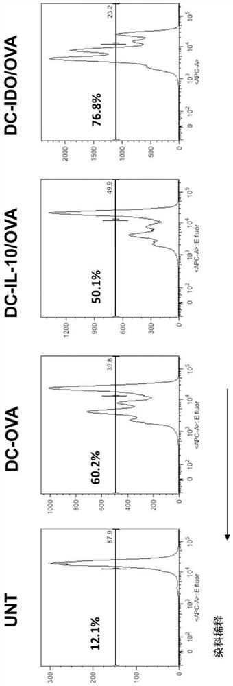Production of engineered dendritic cells and uses thereof