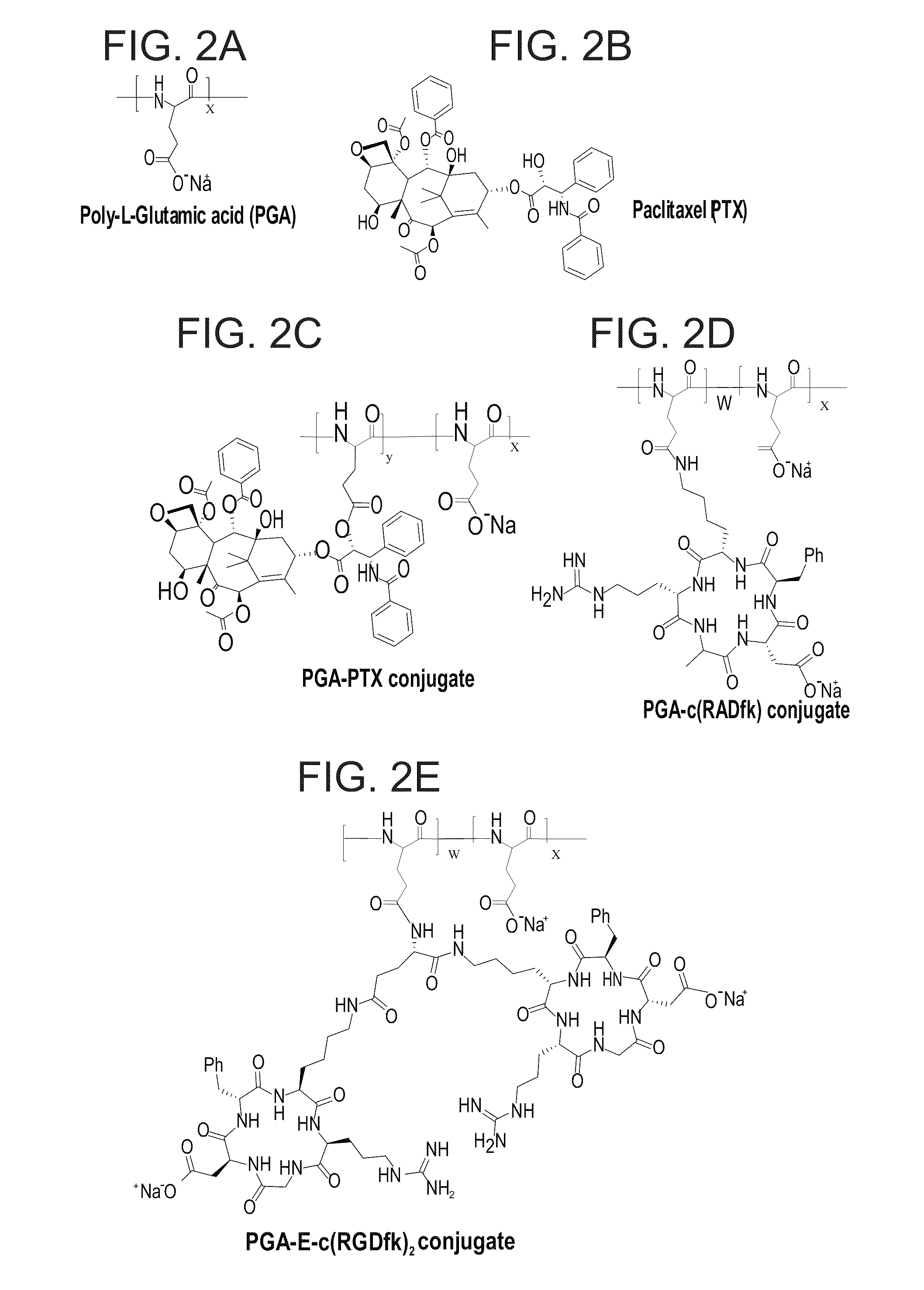 Novel conjugates of polymers having a therapeutically active agent and an angiogenesis targeting moiety attached thereto and uses thereof in the treatment of angiogenesis related diseases