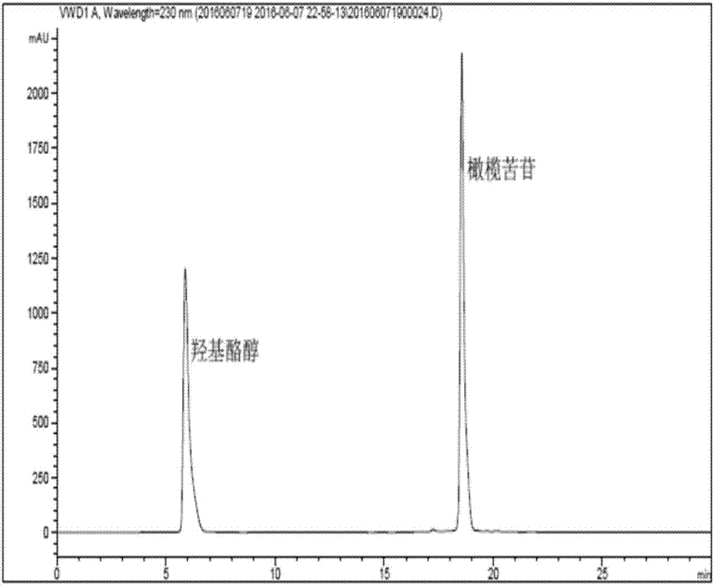 Method for preparing hydroxytyrosol by combining enzymatic catalysis and high-temperature hydrolysis