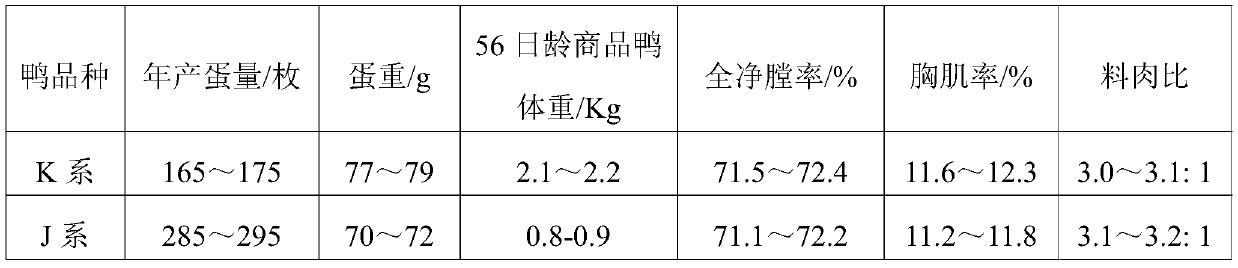 Cultivation method for quaternionic breeding synthesis of meat-egg dual-purpose Jinkun sheldrake commercial line