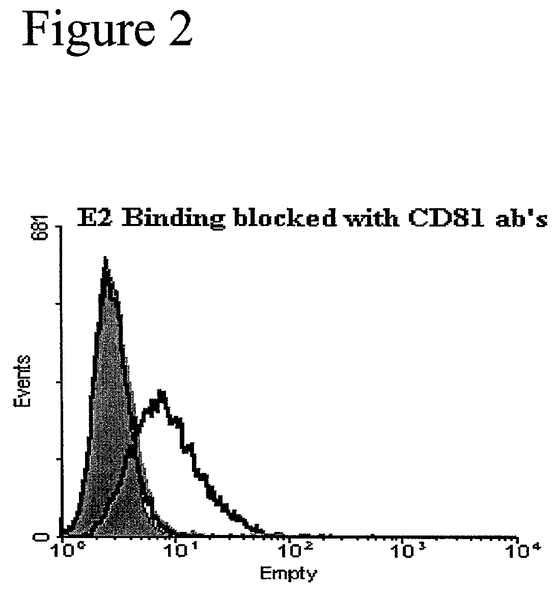 Compositions and methods for the treatment of hepatitis C virus infection