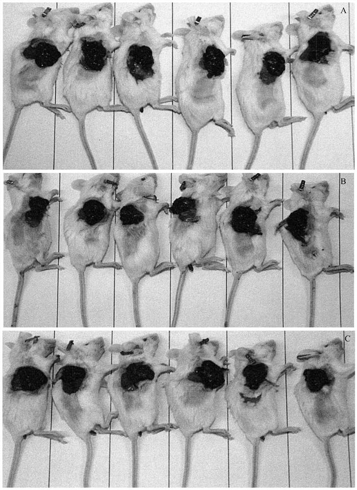 A kind of pharmaceutical composition for anti-gastrointestinal cancer