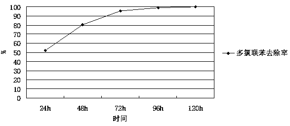 Method for jointly remedying polychlorinated biphenyls contaminated soil through microorganisms and mineral substances