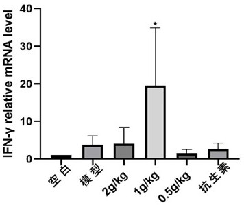 Traditional Chinese Medicine for Feline Calicivirus Infection