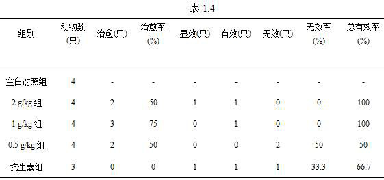 Traditional Chinese Medicine for Feline Calicivirus Infection