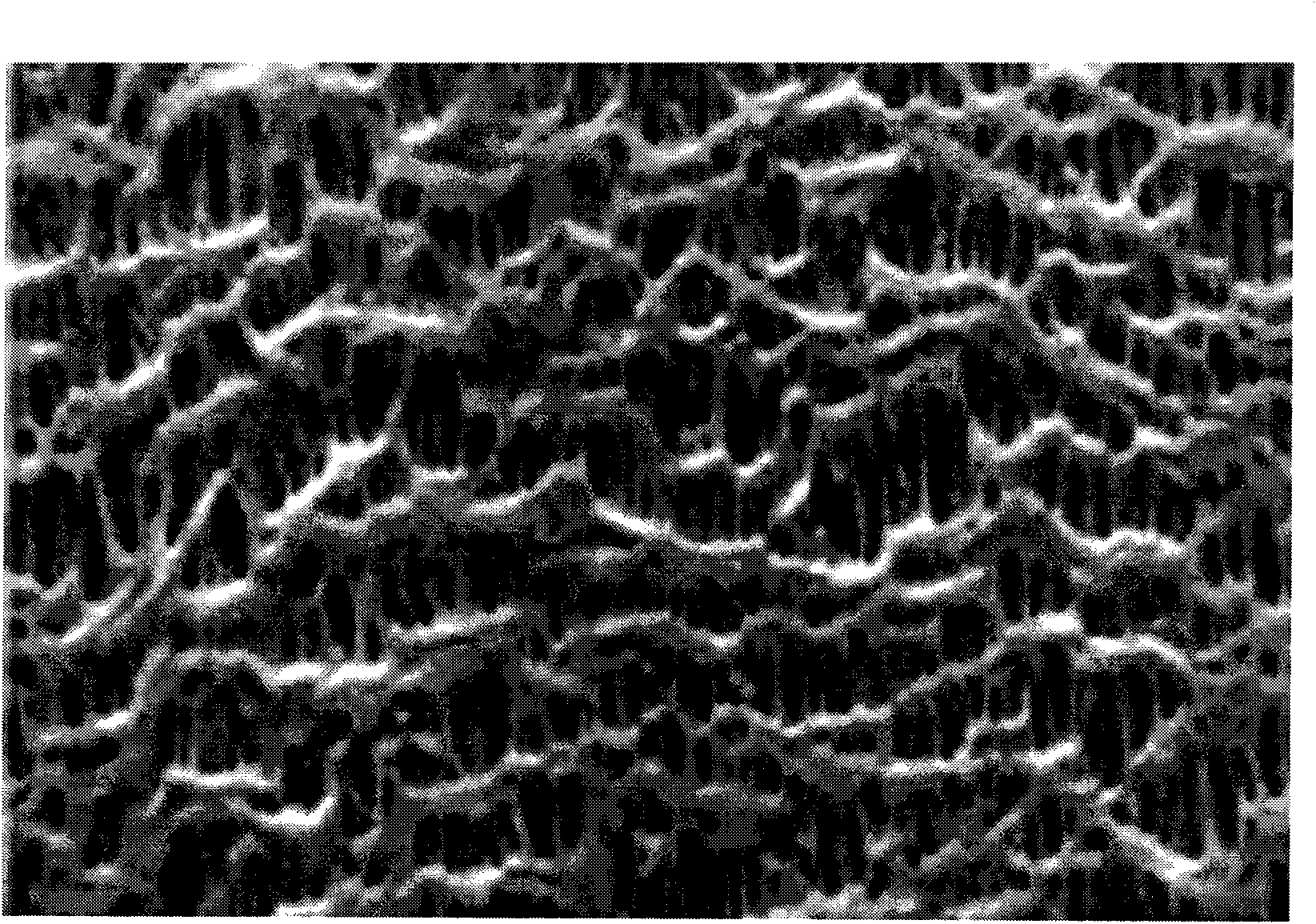 Method for continuously producing jelly of ultra-high molecular weight polyethylene porous membrane