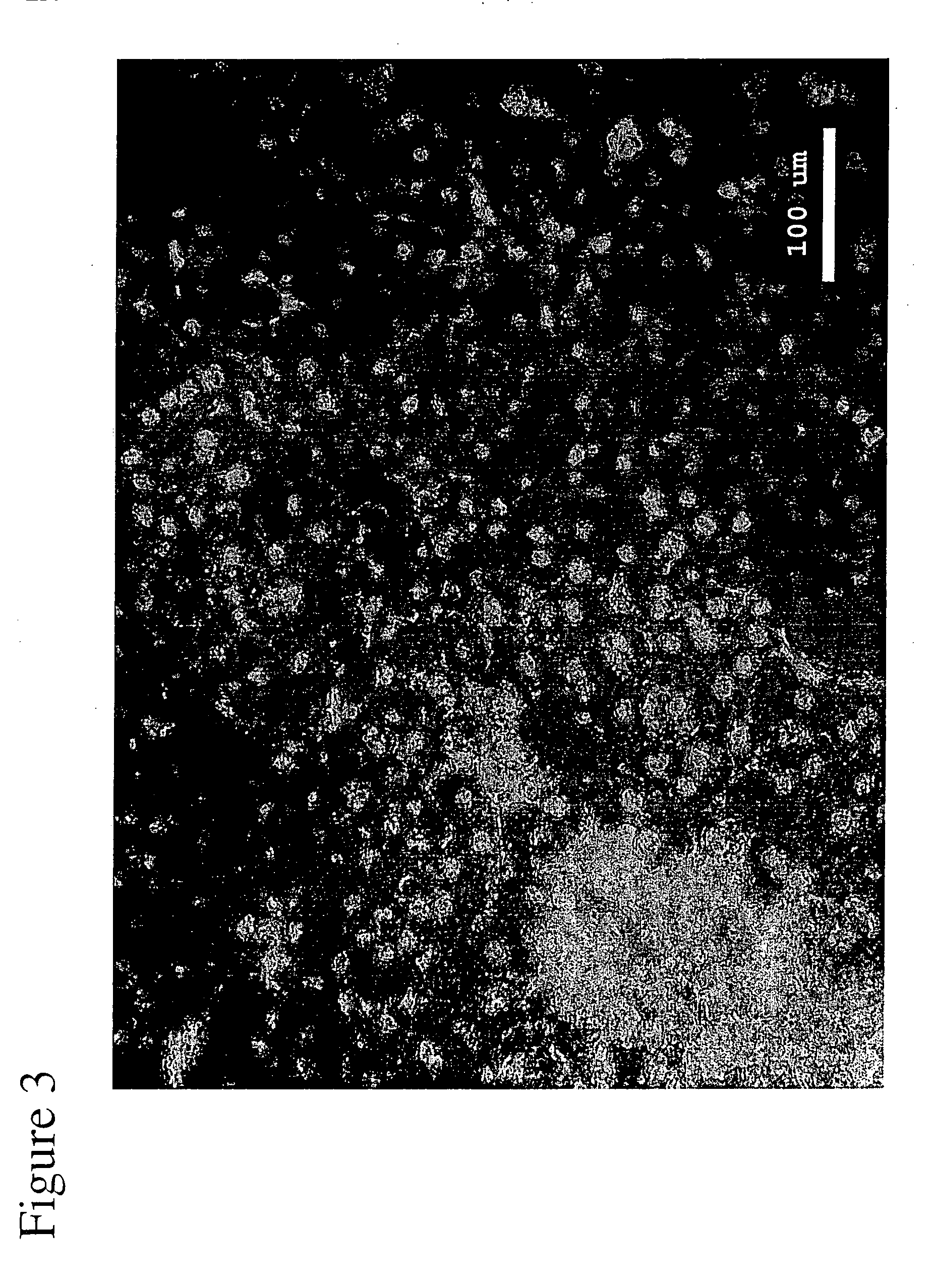 Artificial biocompatible material as a support for cells in a retinal implant