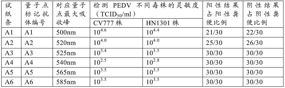 Method for preparing quantum dot labeled anti-porcine virus antibody immunochromatographic test strip, prepared test strip and application