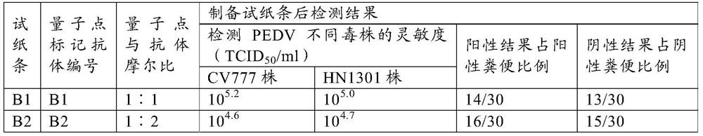 Method for preparing quantum dot labeled anti-porcine virus antibody immunochromatographic test strip, prepared test strip and application