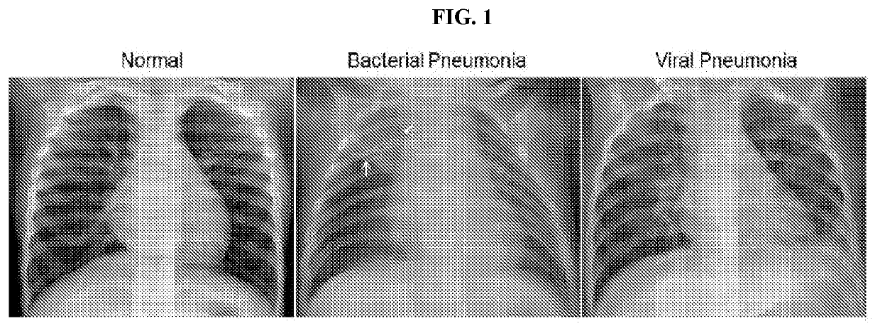 Deep learning-based diagnosis and referral of diseases and disorders