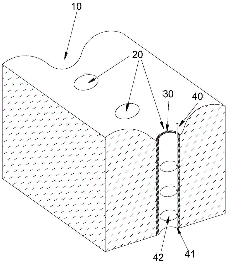 Planting method of burdocks