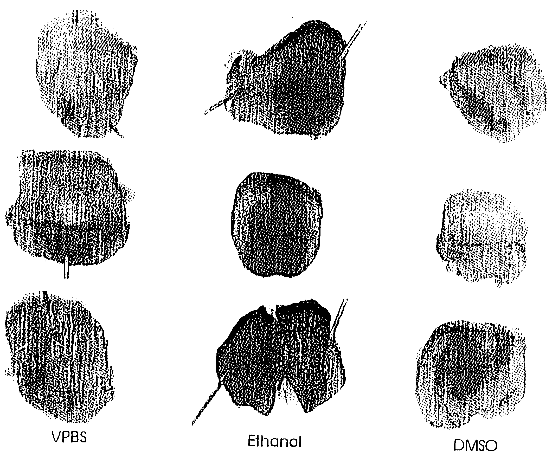 Compositions and methods for therapeutic use