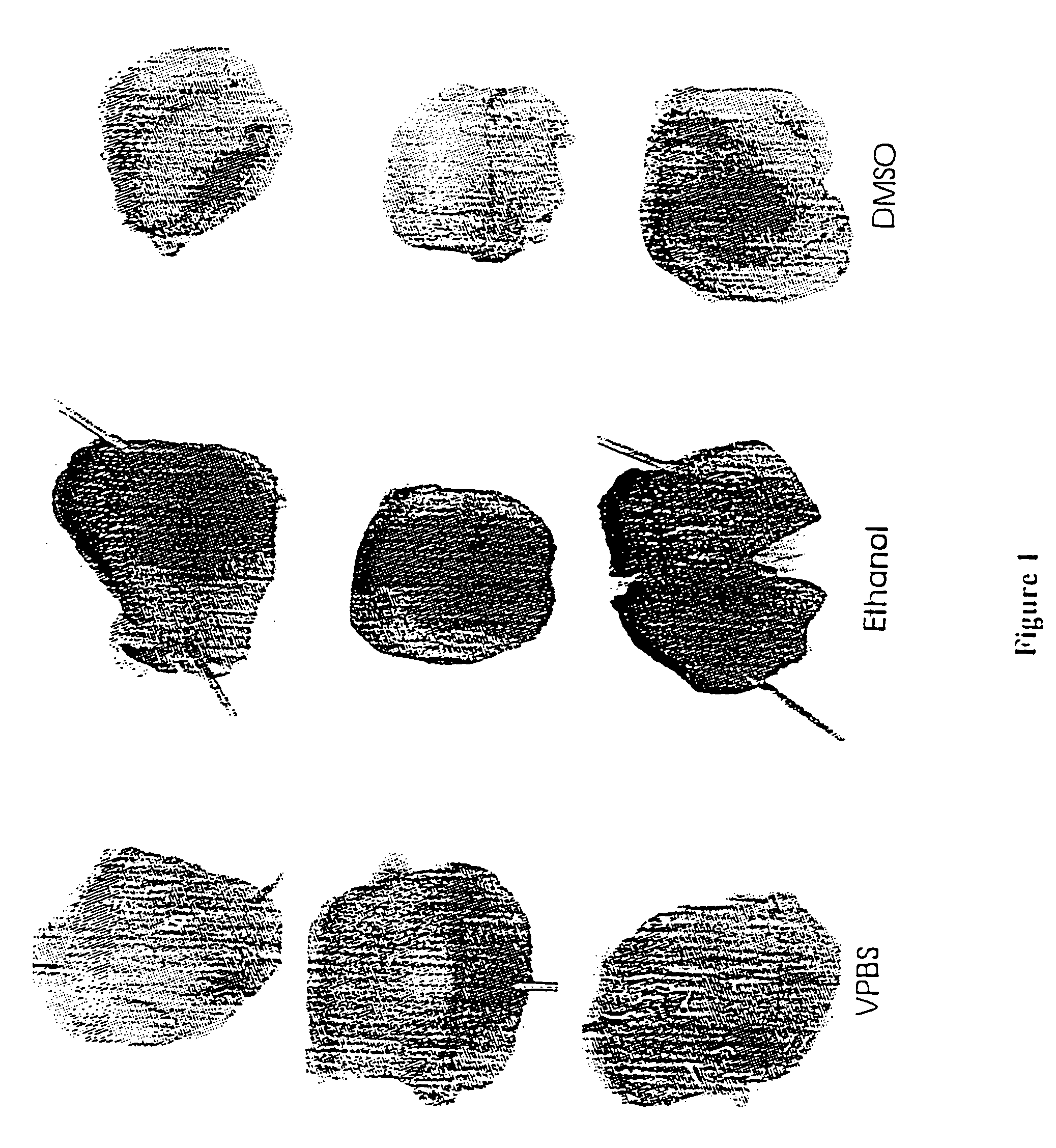 Compositions and methods for therapeutic use