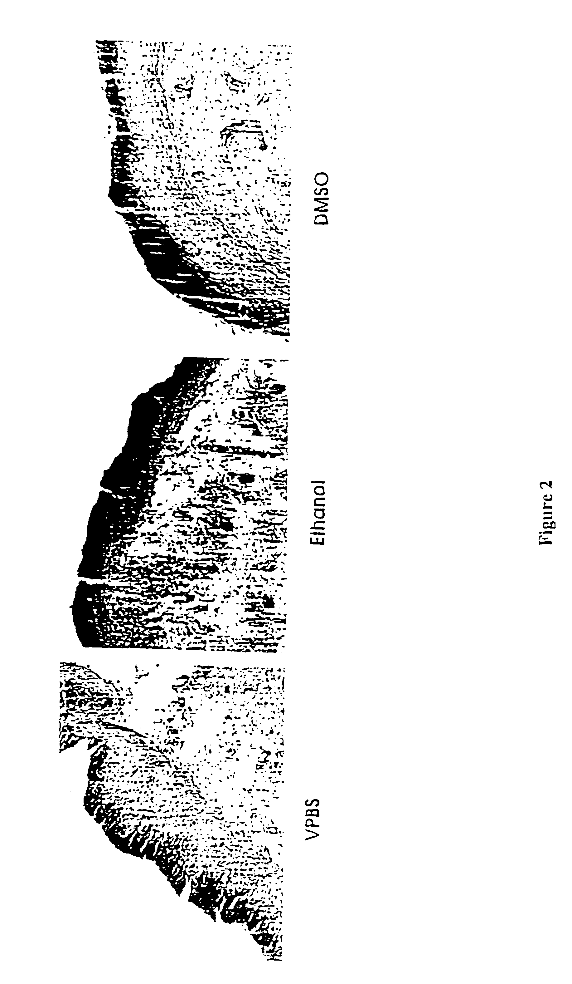 Compositions and methods for therapeutic use