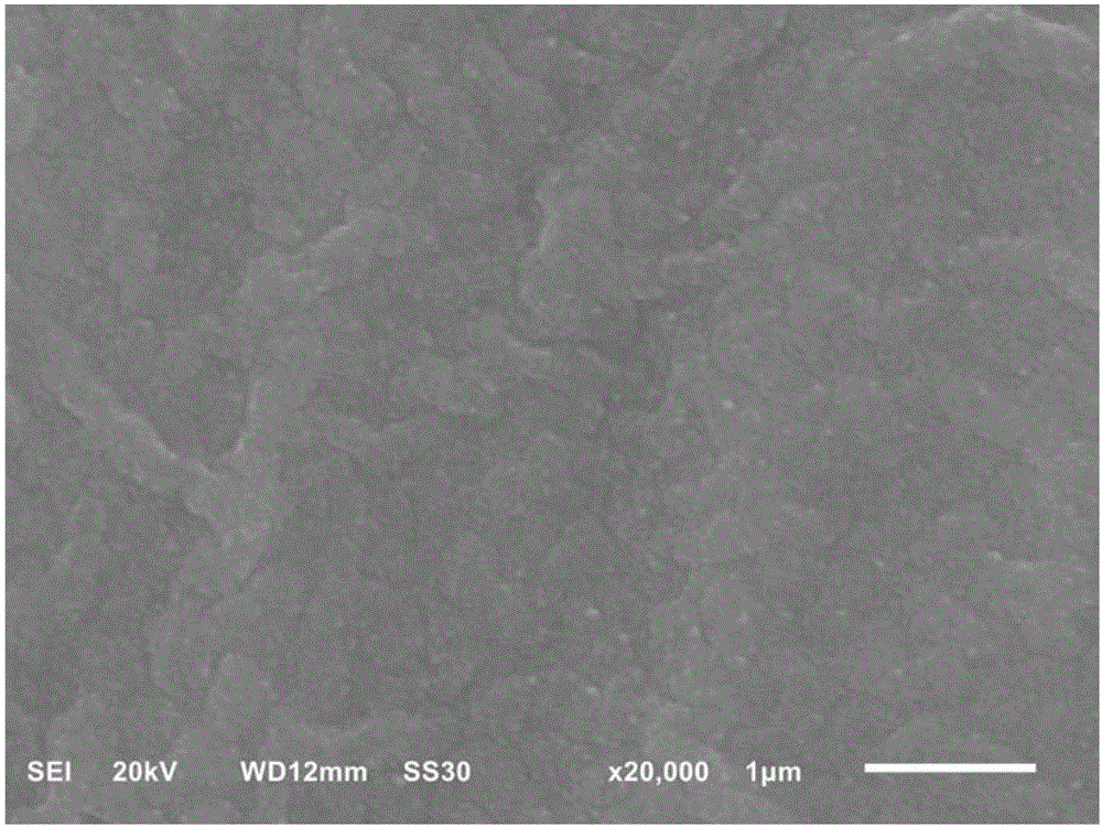 Preparation method of antibacterial hydrophobic ZnO nanorod