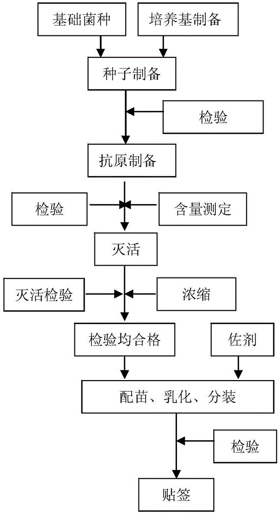 Application of Vaccine Strains of Mycoplasma Pneumoniae