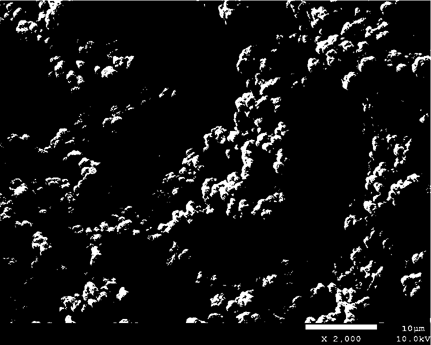 Preparation method and application of graphene oxide polymer continuous bed and method for separating and enriching phytosterol