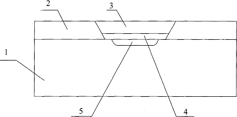 Repair Welding Process for Defects in Cladding of Stainless Steel Composite Plates