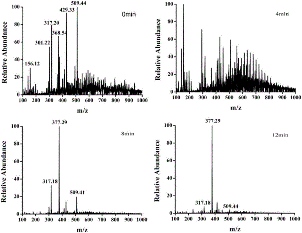 Rapid measurement method of drug dissolution rate