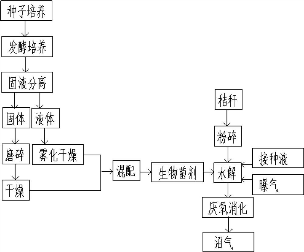 Application method of biological bacterial agent for straw biogas fermentation pretreatment