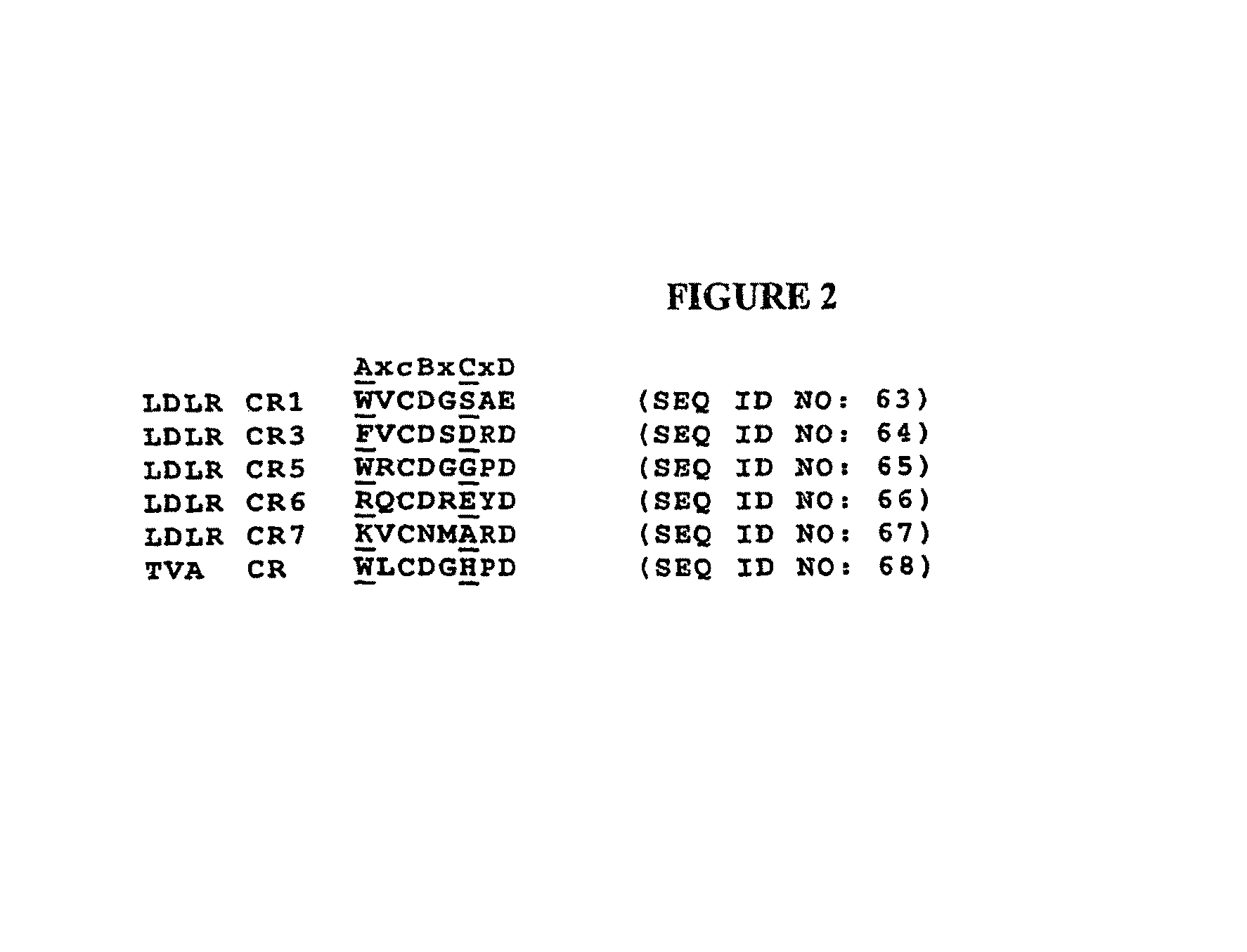 Compositions comprising receptor-associated protein (RAP) variants specific for LRP2 and uses thereof