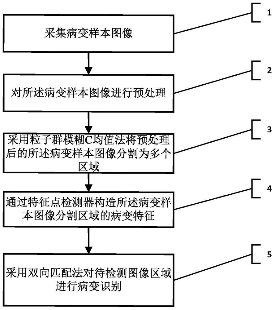 Image recognition method for detecting human papilloma virus infectious lesions