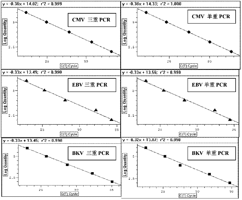 Treble real-time fluorescence quantitative polymerase chain reaction (PCR) method for simultaneously detecting epstein-barr virus (EBV), polyma virus (BKV) and cytomegalovirus (CMV) of people and kit