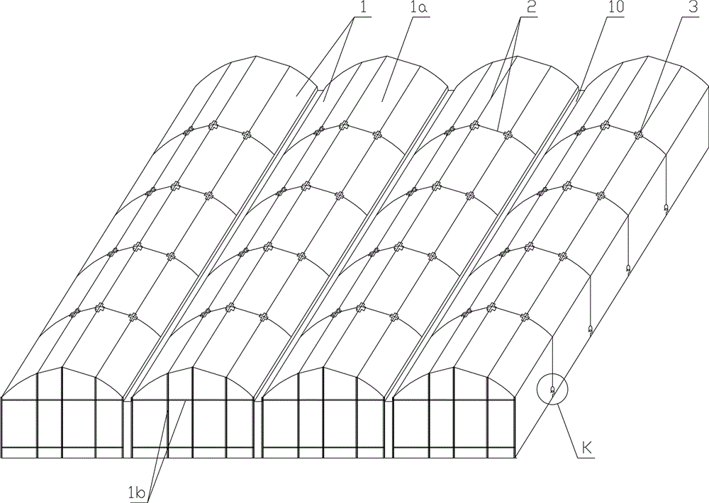 Large-span and high-strength one-piece greenhouse