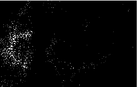 Preparation method of nitrogen-doped titanium dioxide mesoporous visible light photocatalyst