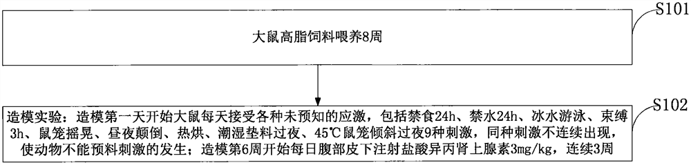 Dual-heart disease animal model construction method based on syndrome of intermingled phlegm and blood stasis and feed composition