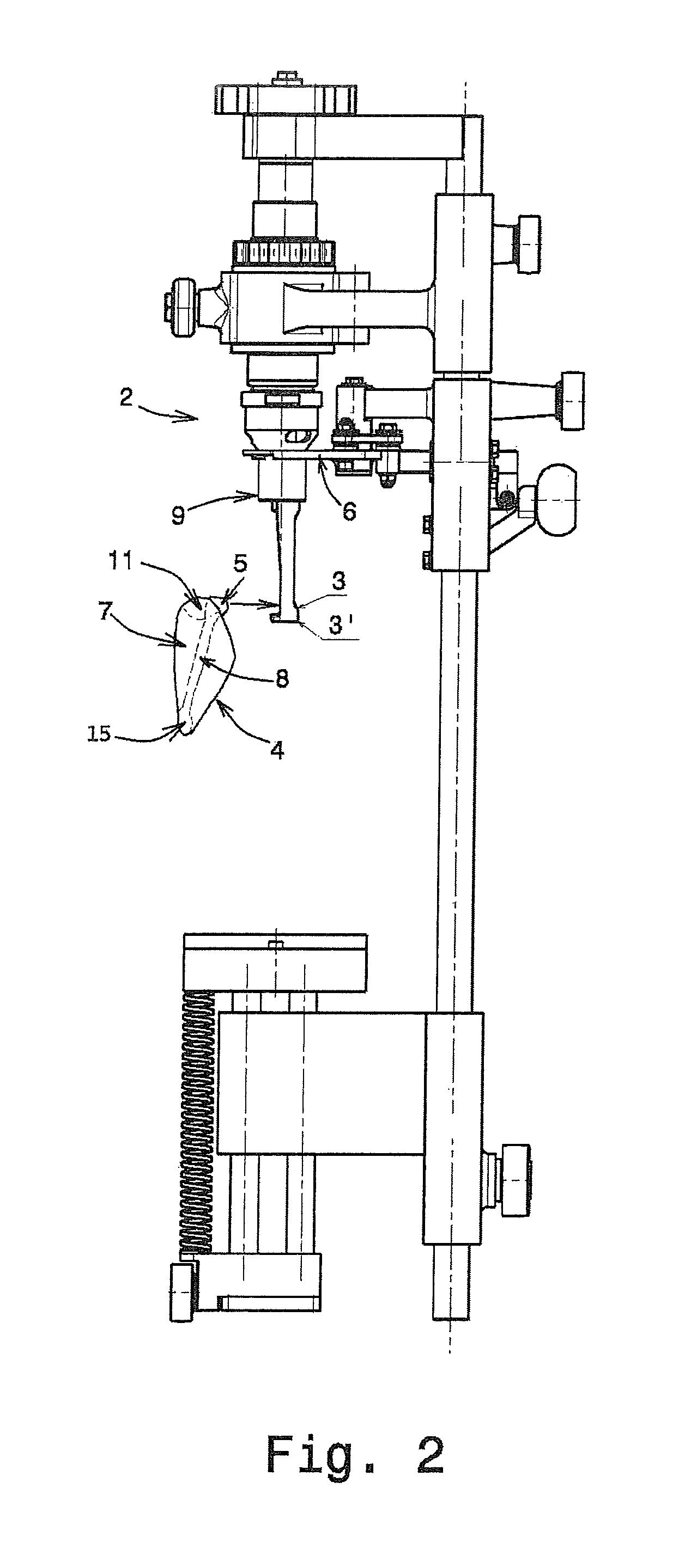 Method and apparatus for harvesting thigh meat and oyster meat from a poultry thigh