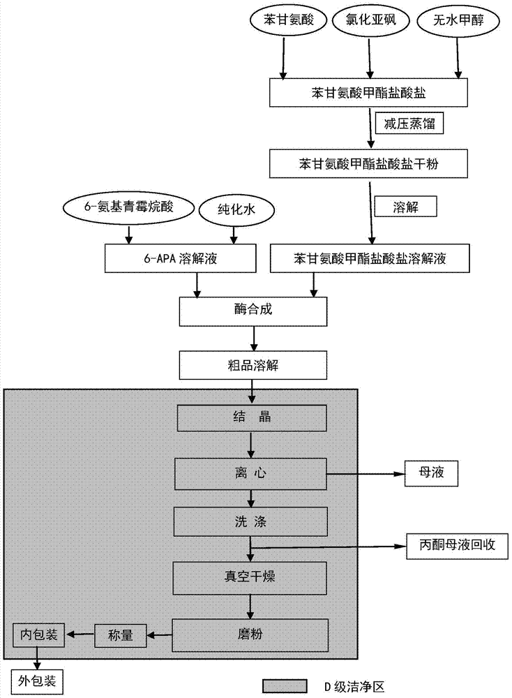 A kind of technology that straight-through method prepares ampicillin