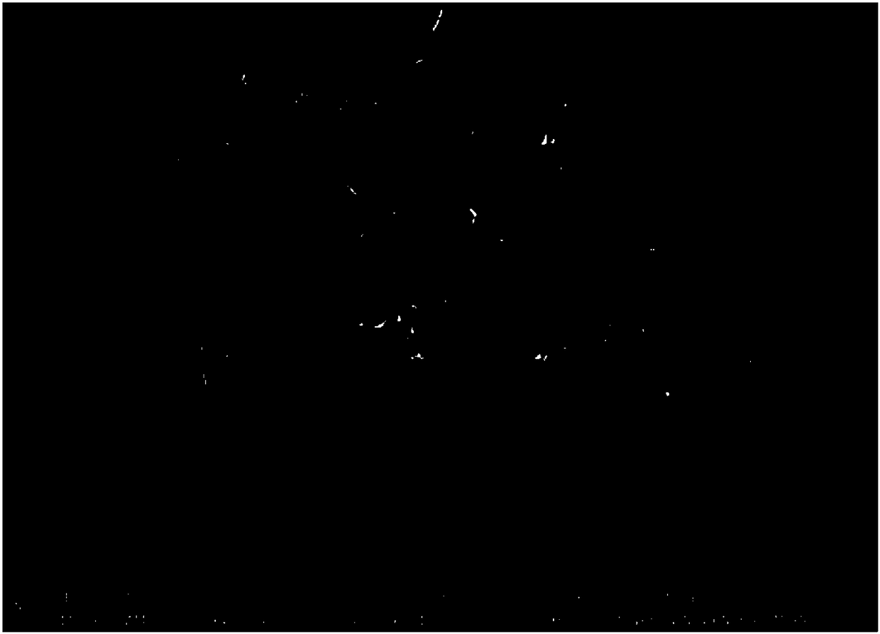 Bismuth nanosheets, and preparation method and application thereof