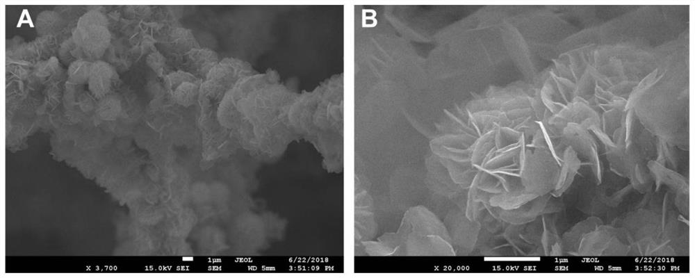 A preparation method of cobalt manganese oxide nanoflower-carbon sponge flexible composite material