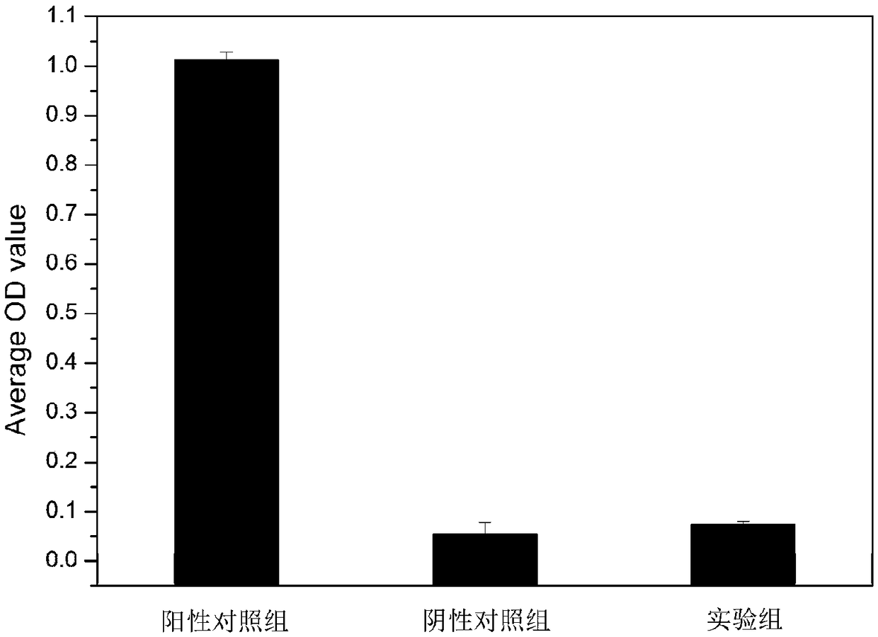 Preparation method of novel hyperbranched antibacterial peptide polymer