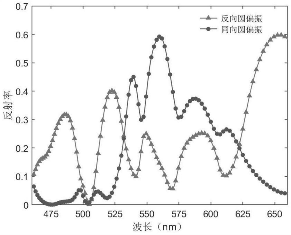 Three-primary-color color holographic metasurface based on dual-channel polarization multiplexing and design method thereof