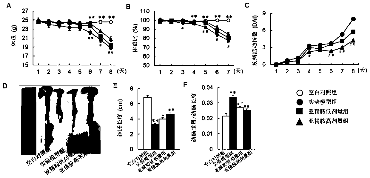 Application of spermidine in preparation of medicines for treating colitis