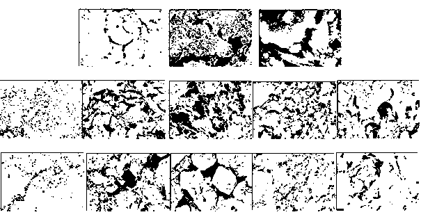 Shale gas reservoir characteristic simulation method