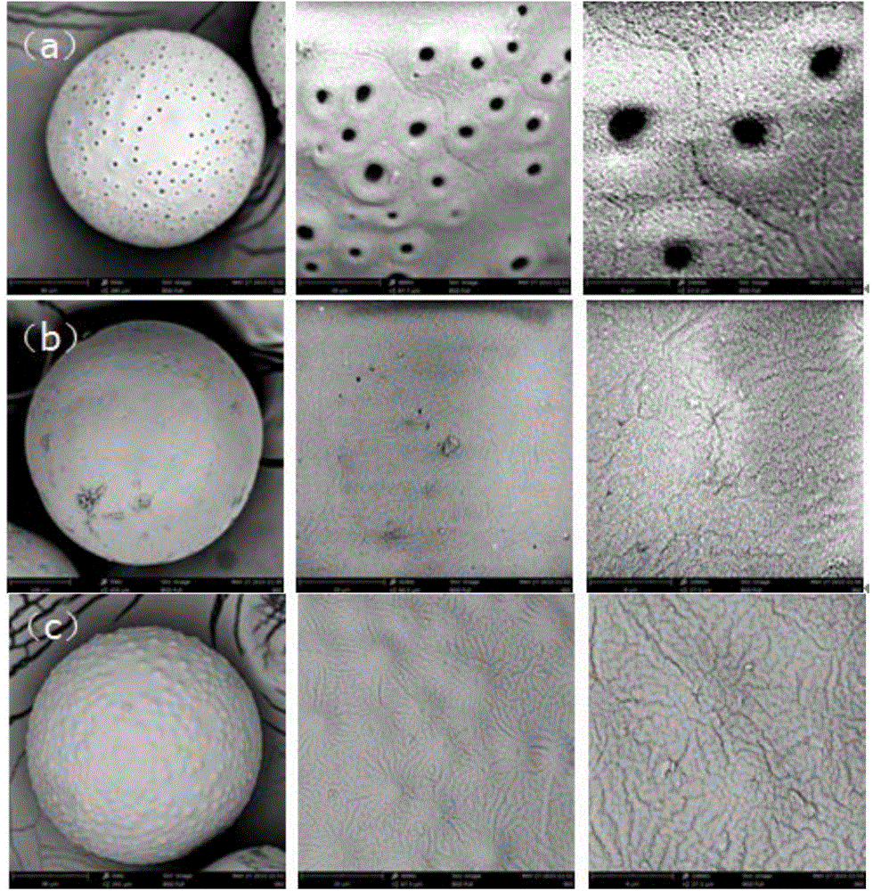 Method for preparing polar modified ultrahighly-crosslinked resin and application of resin