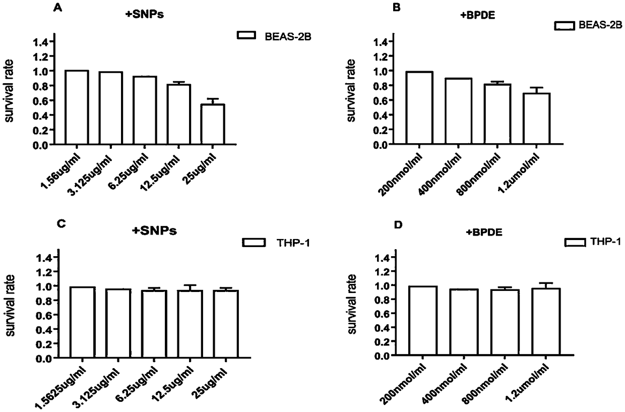 Establishing method and applications of cell model capable of simulating lung cancer occurrence mechanism