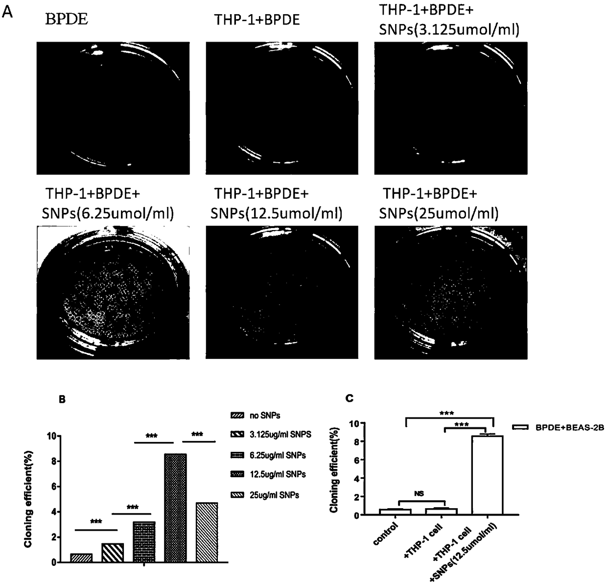 Establishing method and applications of cell model capable of simulating lung cancer occurrence mechanism