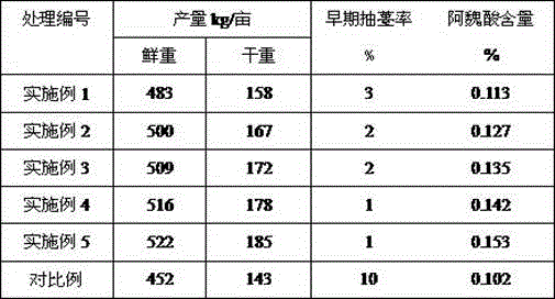 Ecological fertilizer special for Chinese angelica and preparation method of ecological fertilizer