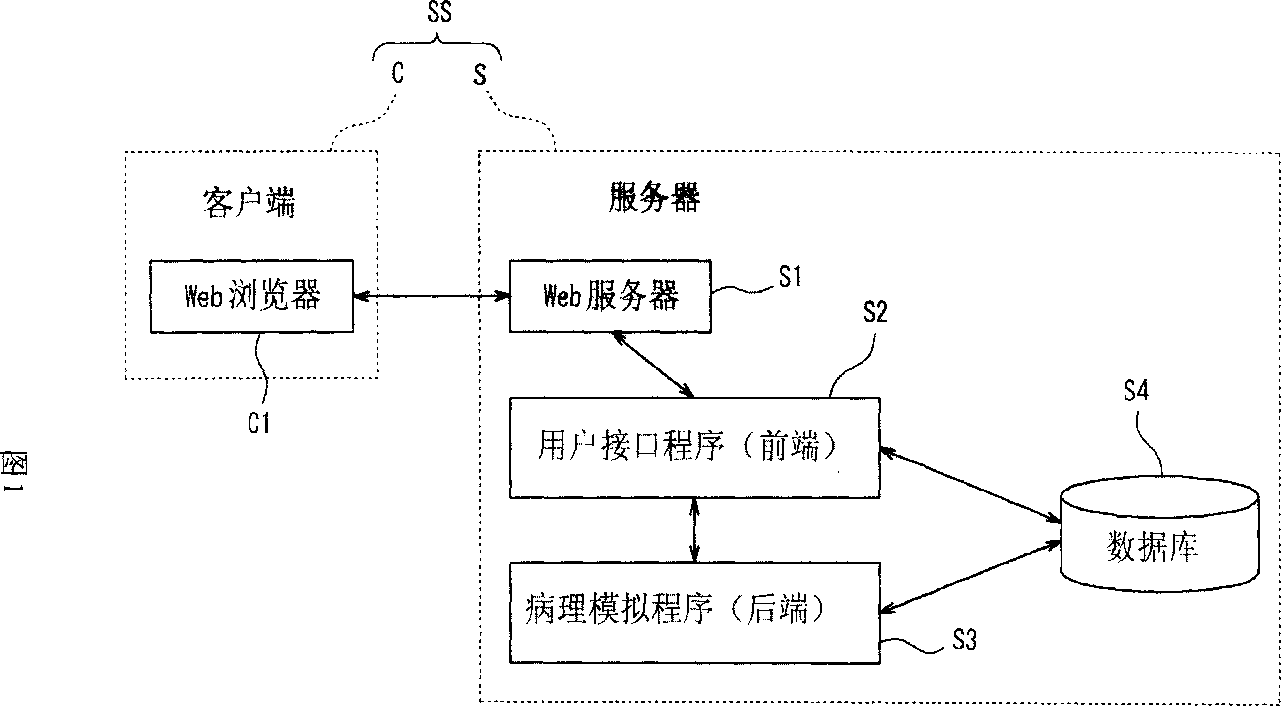 Medical simulation system, control system and bio dummy experiment system and control system