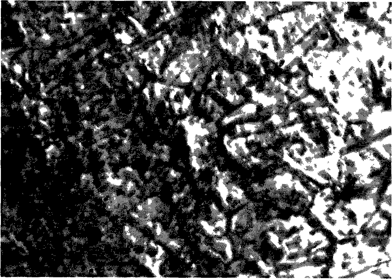 Material deformation spinor field test method