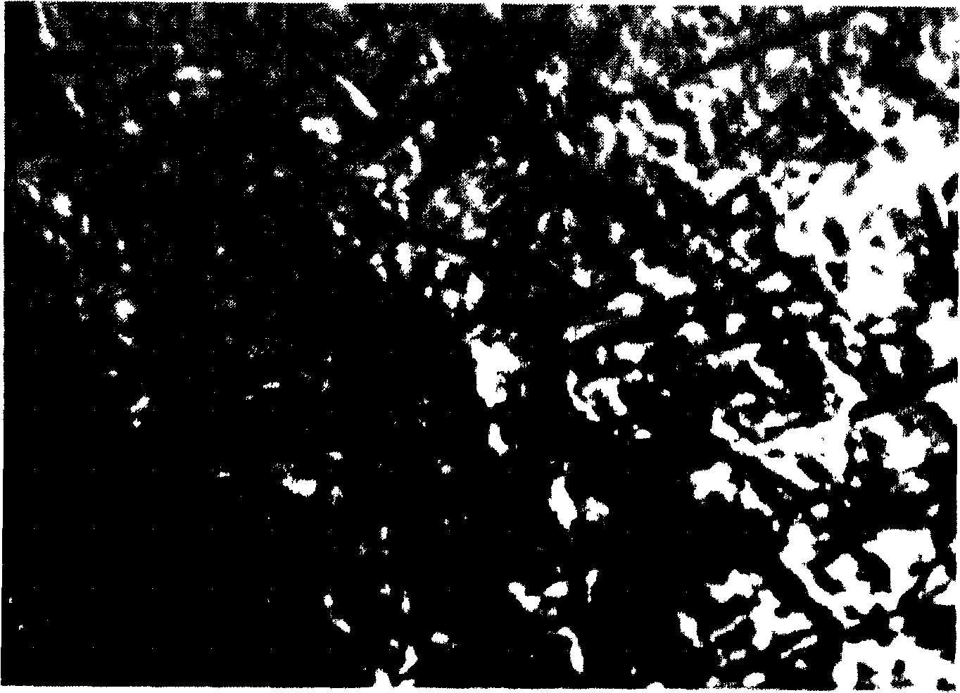 Material deformation spinor field test method