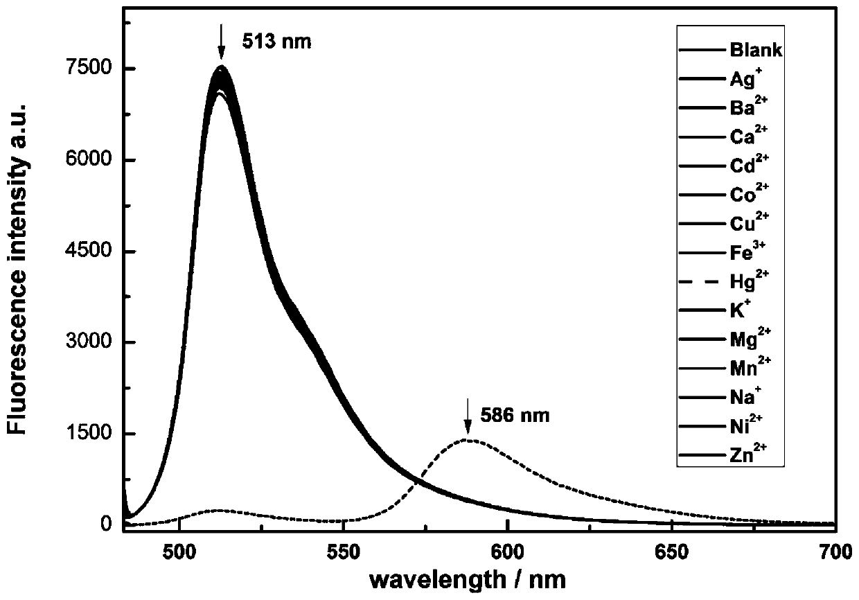 Fluorescent probe for detecting mercury ions and preparation method and application of fluorescent probe